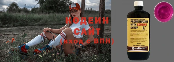 гашик Алексин