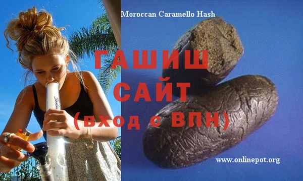 гашик Алексин