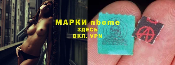 гашик Алексин