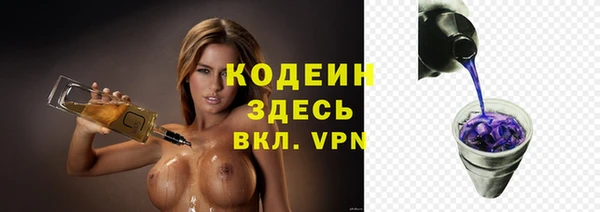 гашик Алексин