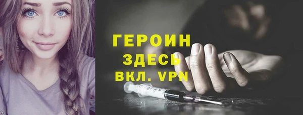 гашик Алексин