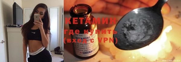 гашик Алексин