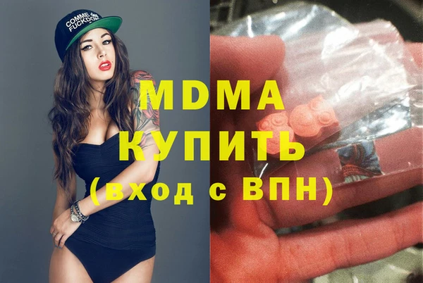 гашик Алексин