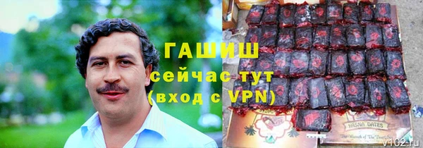 гашик Алексин
