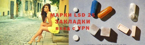 гашик Алексин