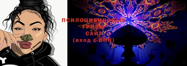 сатива Лагань