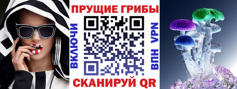 ОМГ ОМГ зеркало  Шатура  Псилоцибиновые грибы прущие грибы  где купить наркотик 