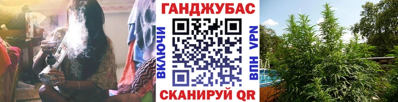 купить наркотики сайты Шатура Конопля индика